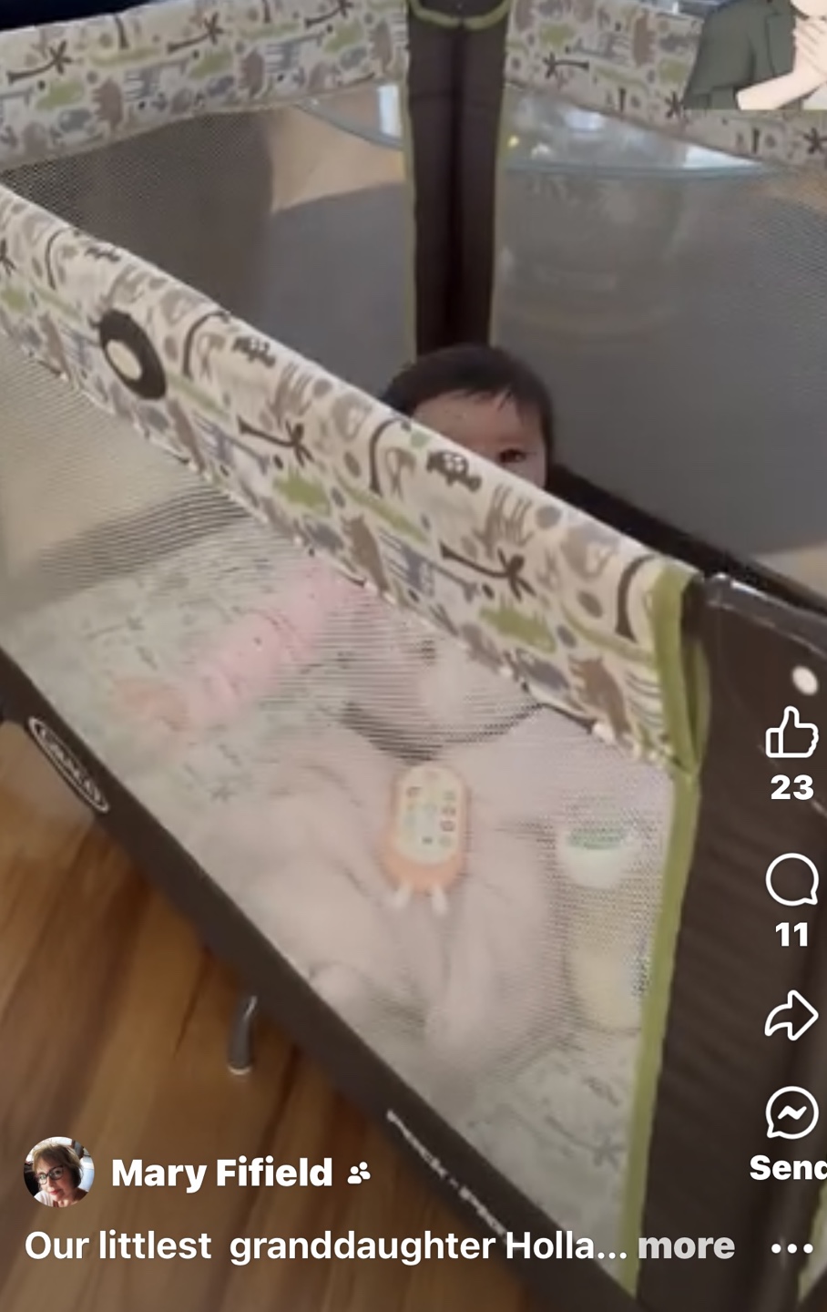 Graco Pack 'n Play Playard - photo 2