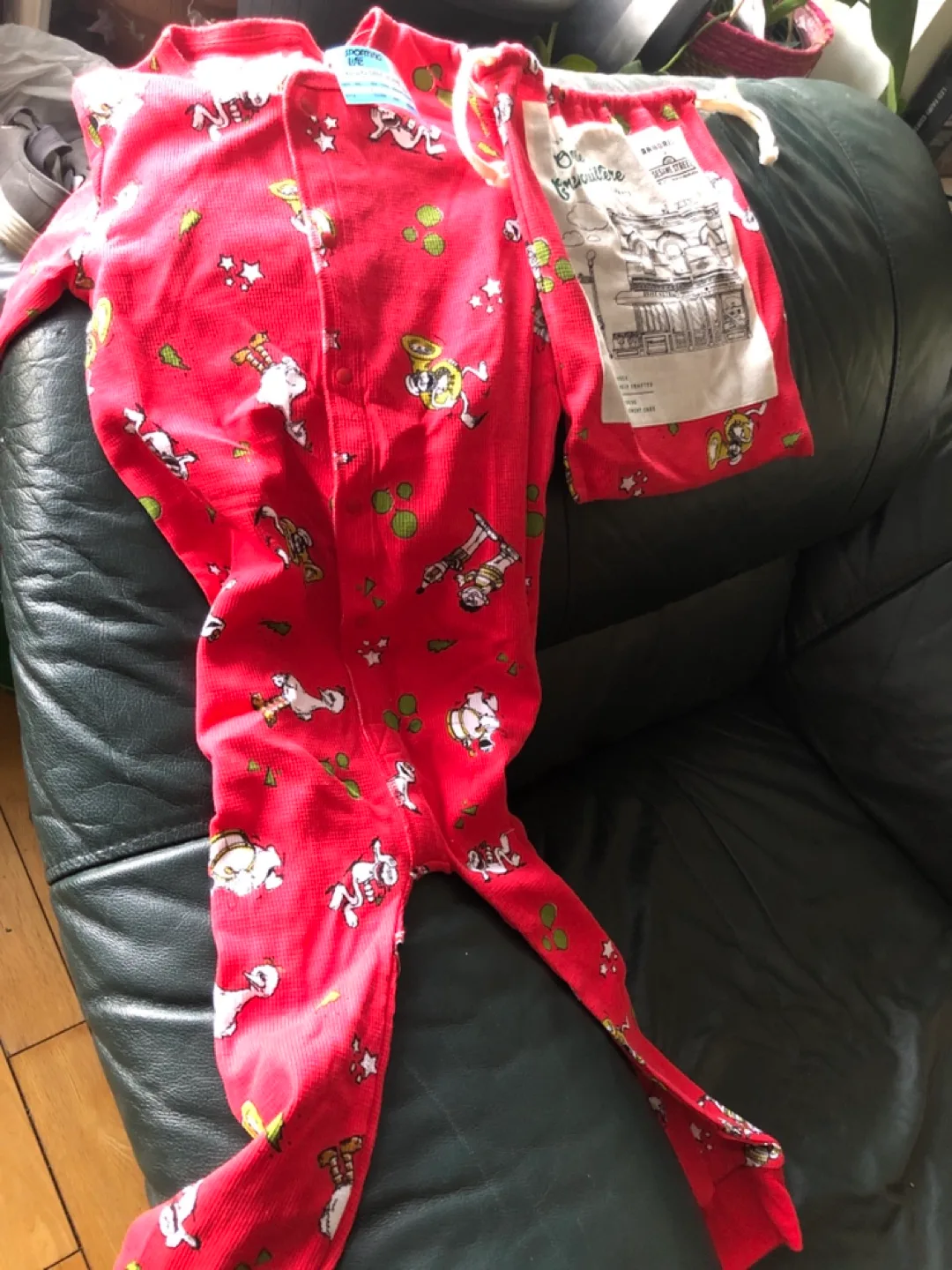 Arbor x Sesame Street Baby Long-John Pajamas thumbnail