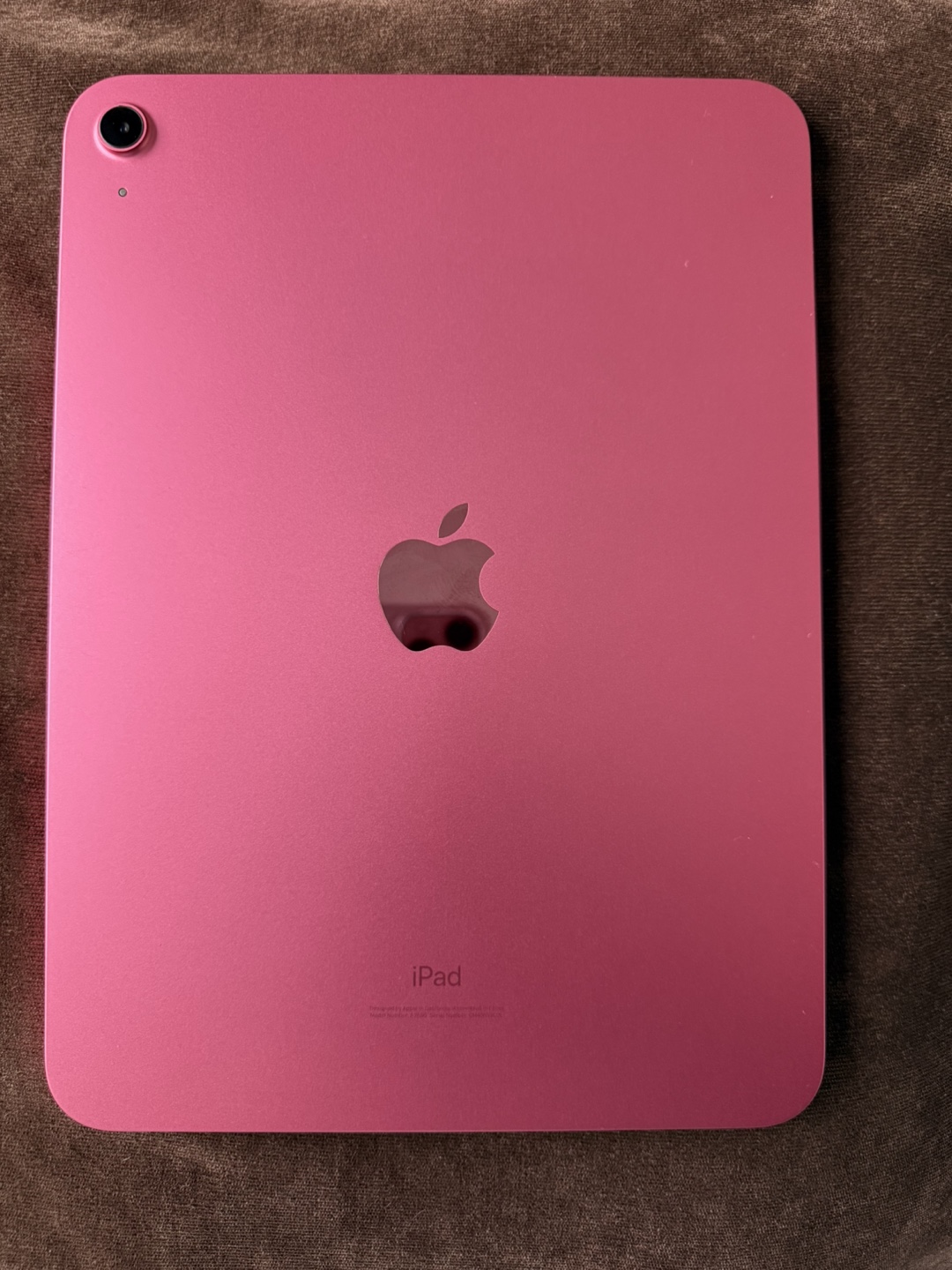 Pink iPad 10th Gen 64GB Wifi with Apple Pencil
