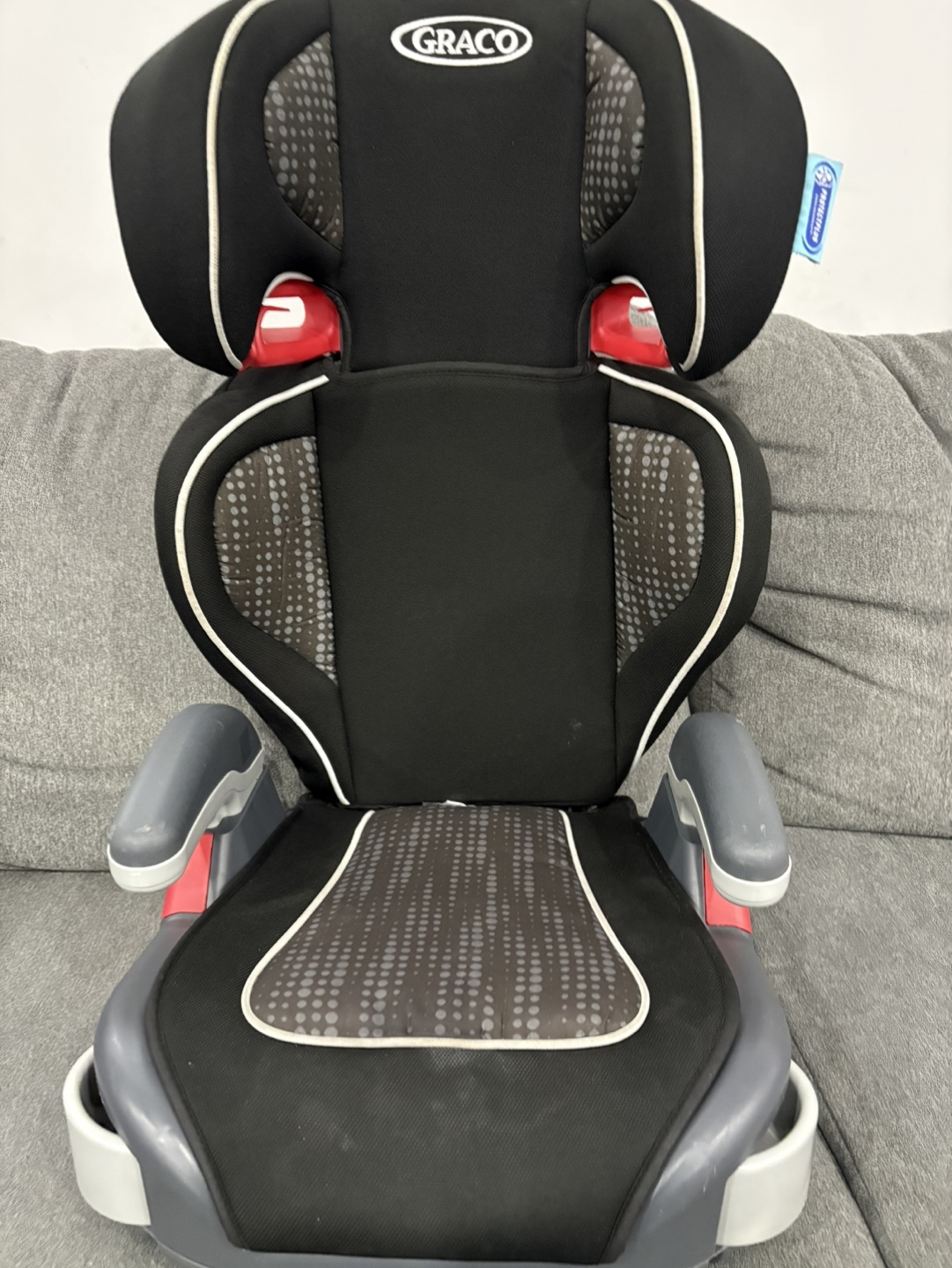 Graco TurboBooster Car Seat - photo 4