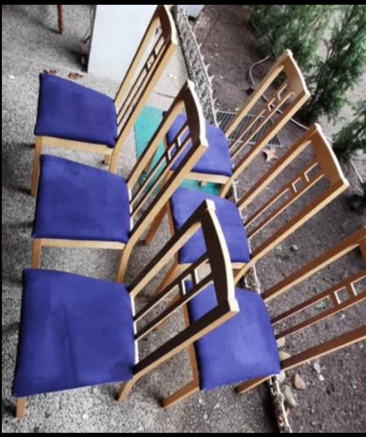 6 chairs great condition (pick up by Jan 30) - photo 2