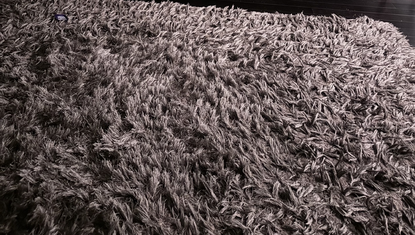 Rug
