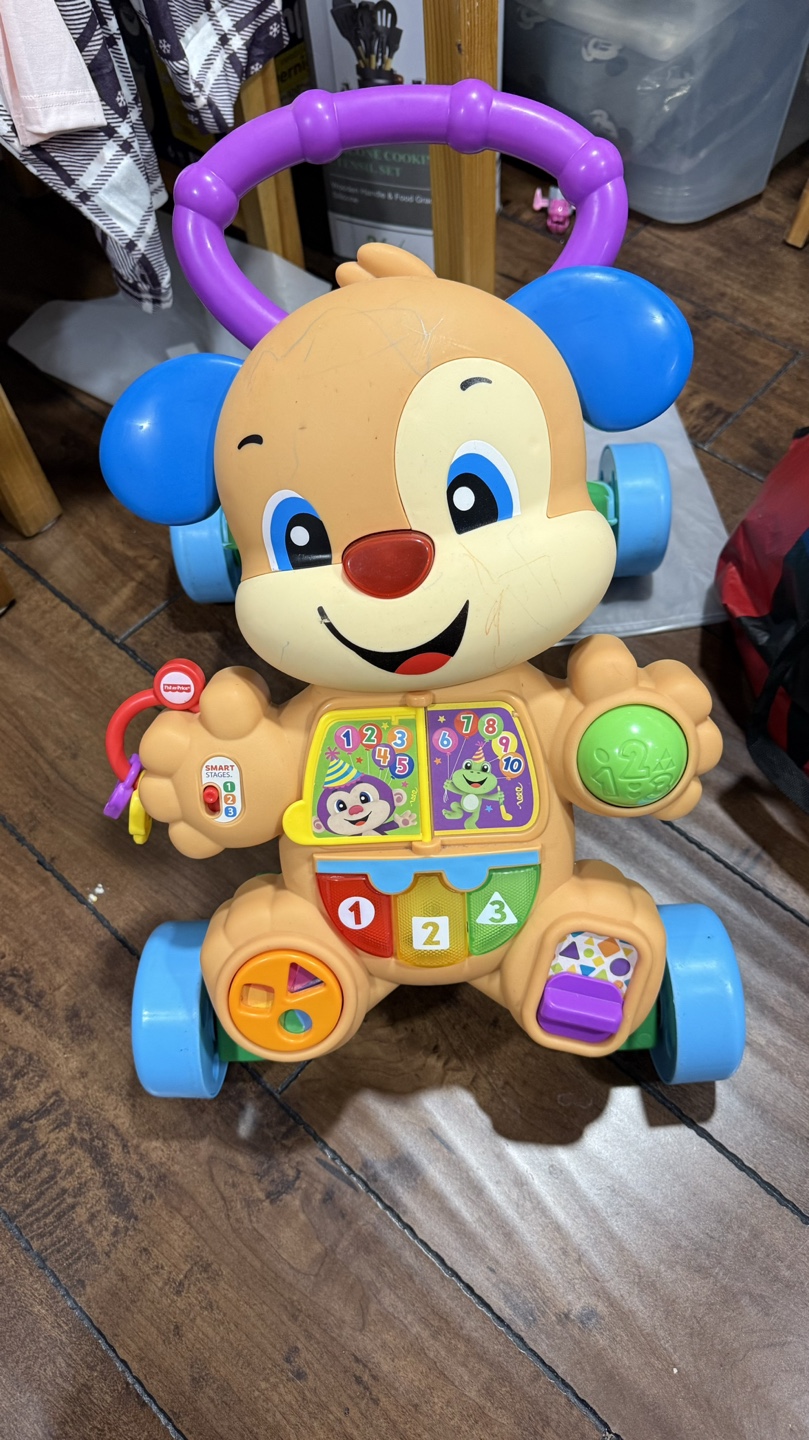 Fisher-Price Smart Stages Puppy Walker
