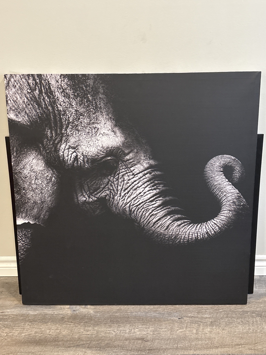 Large Black and White Elephant Canvas Wall Art