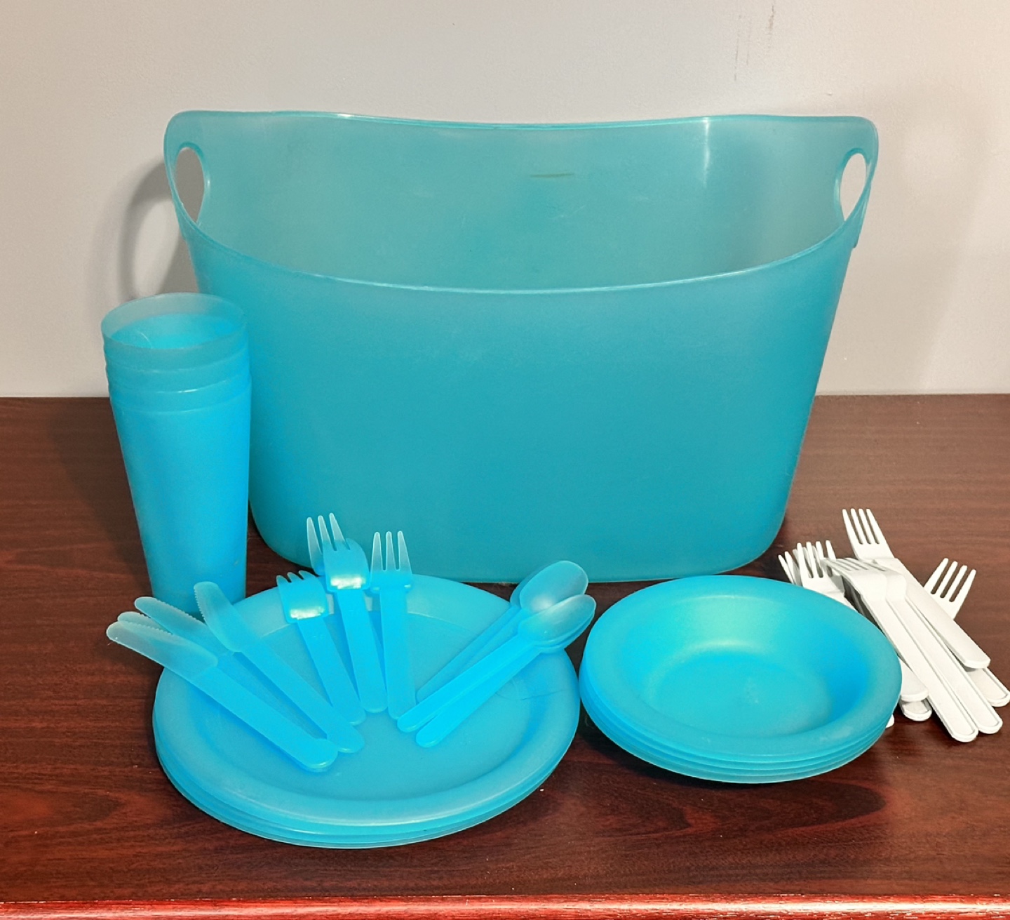 Teal Picnic Set with Carrier