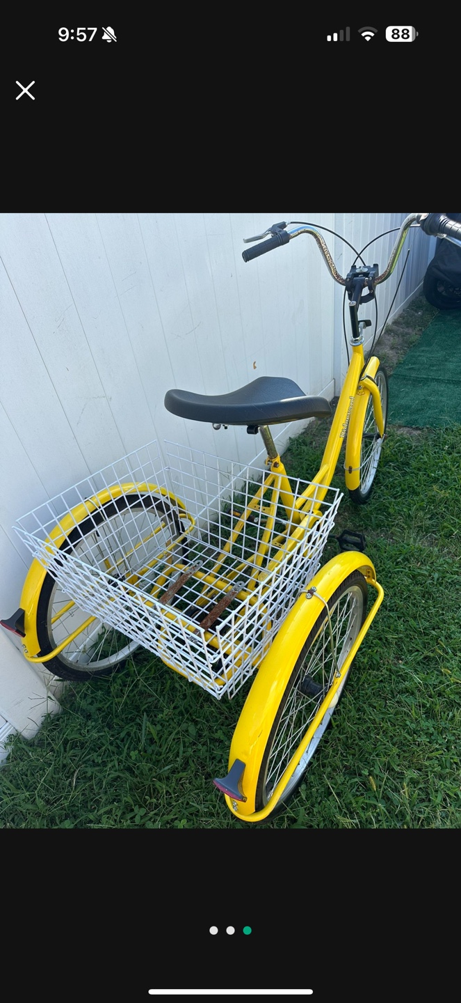 Adult Tricycle with Basket
