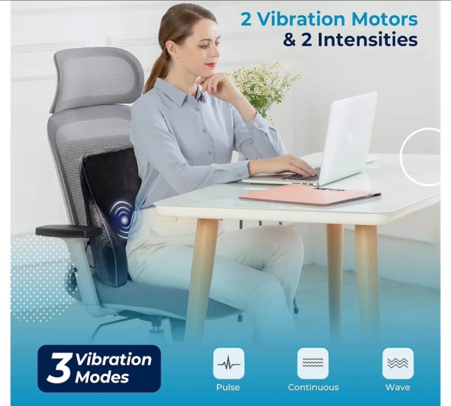 Lumbar Support Pillow image indicator(3)