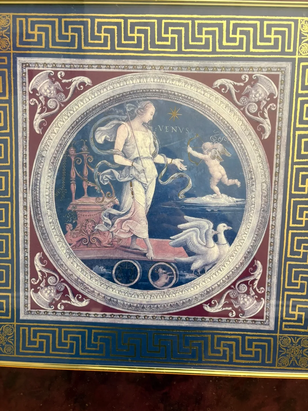 Framed Venus Artwork image indicator(2)