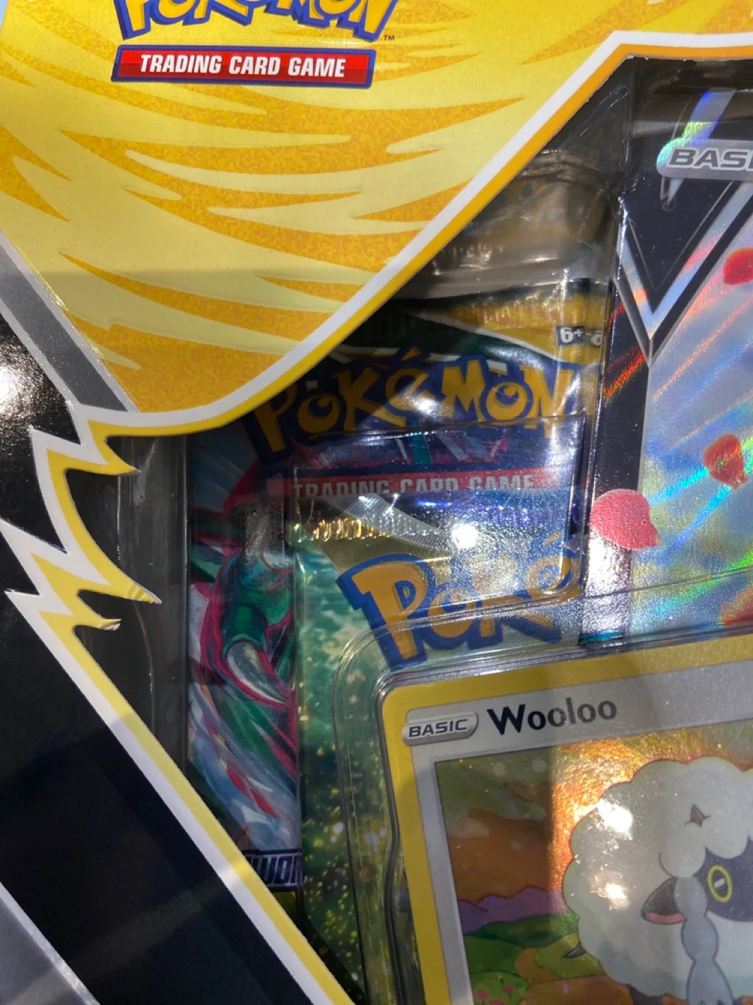 Sealed Pokemon TCG Boltund V Box image indicator(2)