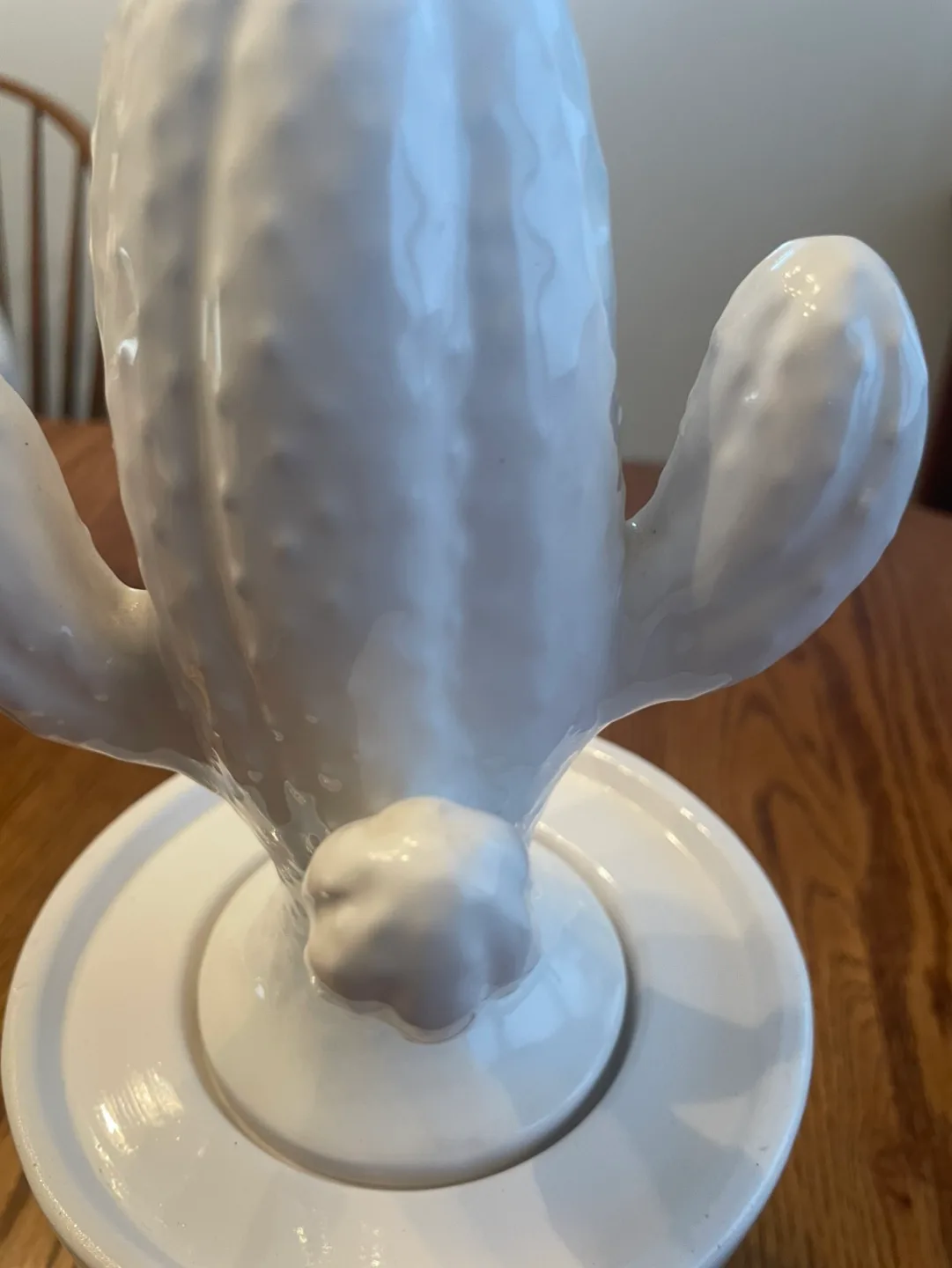 White Ceramic Cactus Planter image indicator(4)
