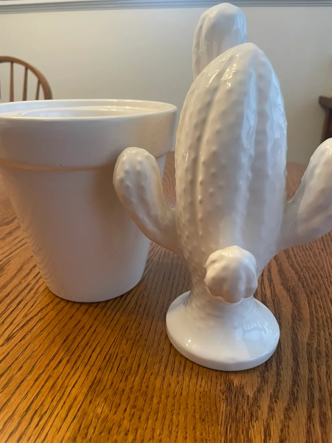 White Ceramic Cactus Planter image indicator(2)