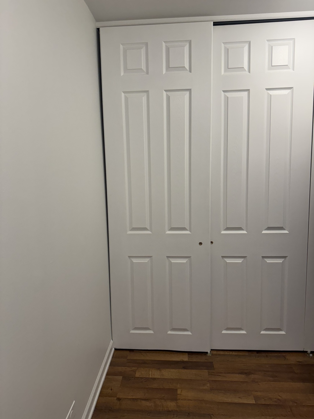 White Sliding Closet Doors - photo 3