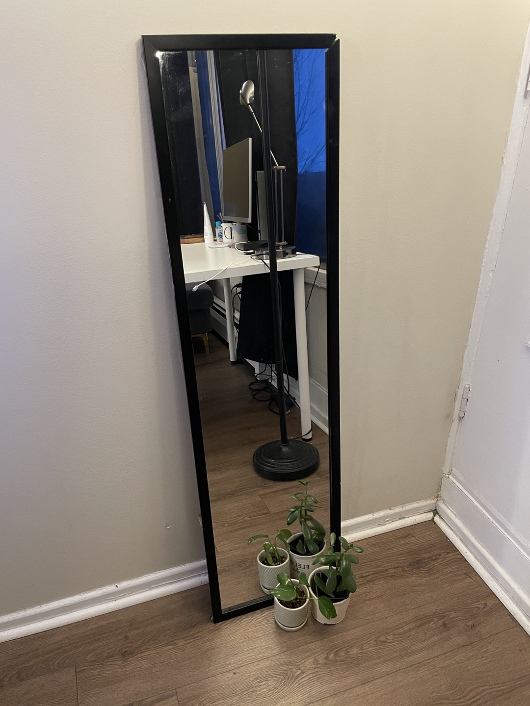 Full Length Black Frame Mirror