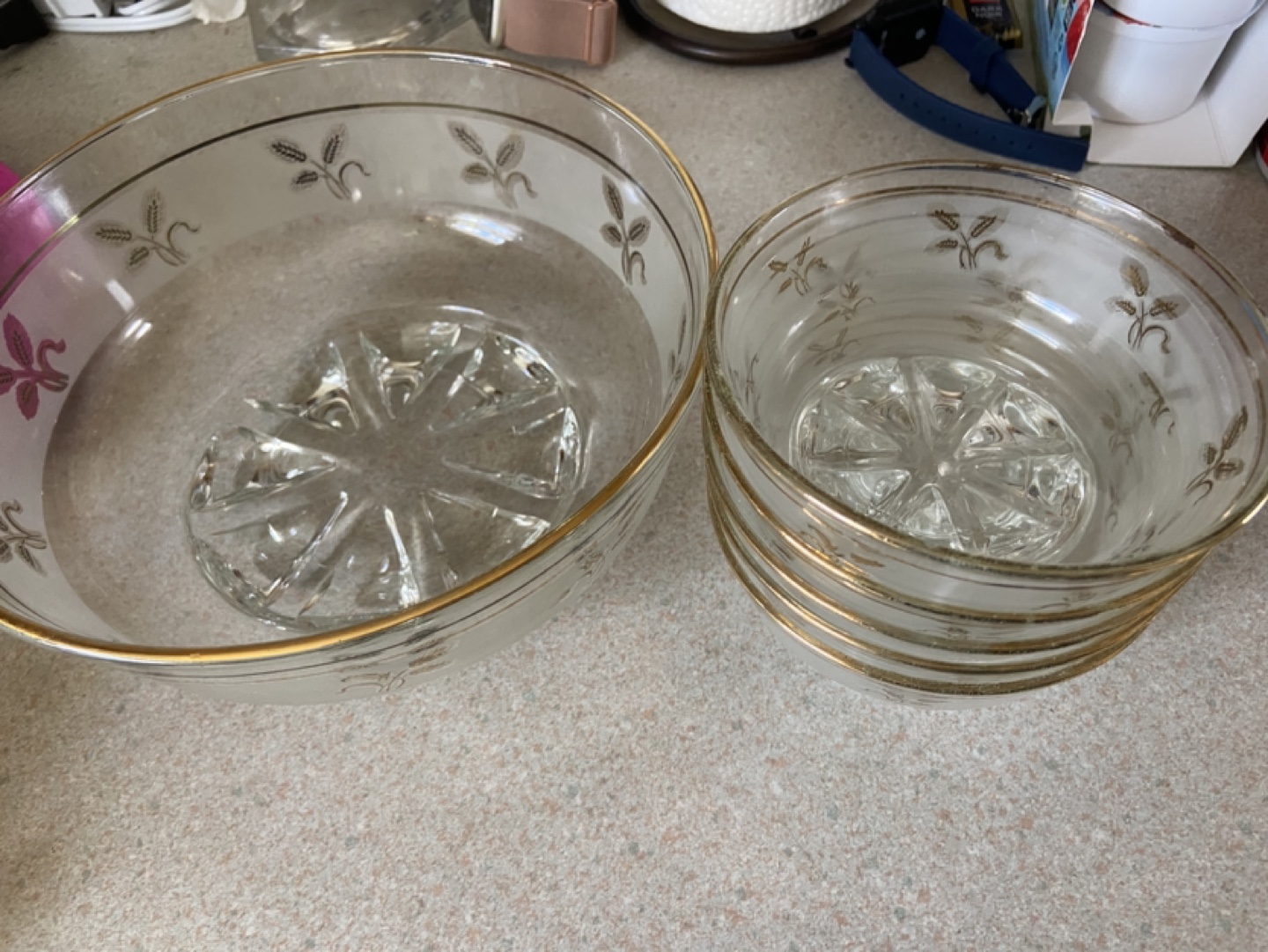 Vintage Glass Serving Bowl Set with Gold Accents