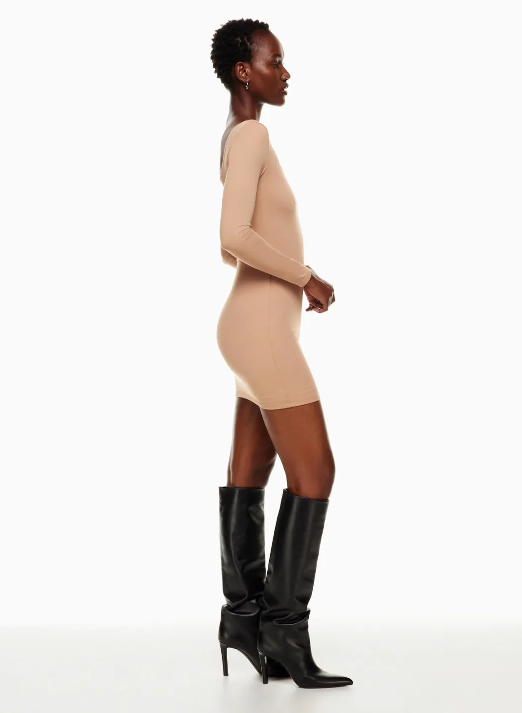 Aritzia Babaton Blair Mini Dress image indicator(4)