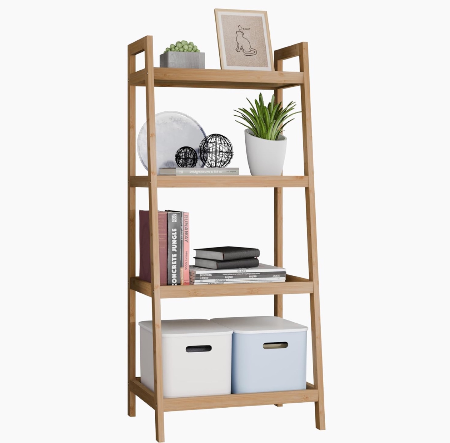 Bamboo Ladder Shelf