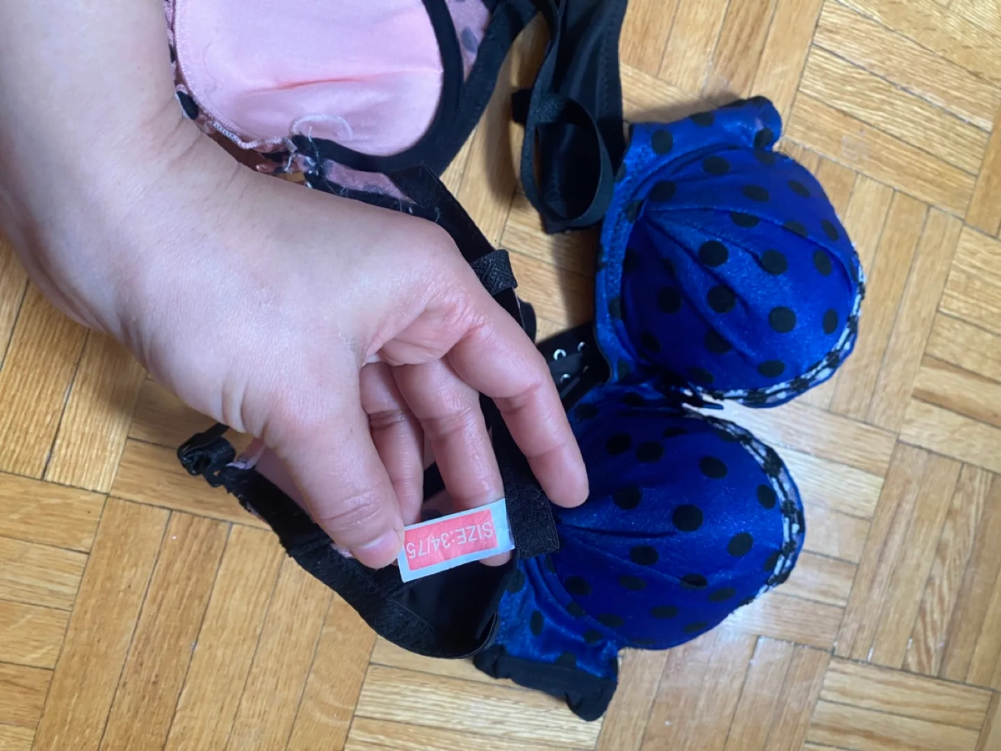 2x Polka Dot Push-Up Bras - Size 34/75 ❤️ image indicator(3)