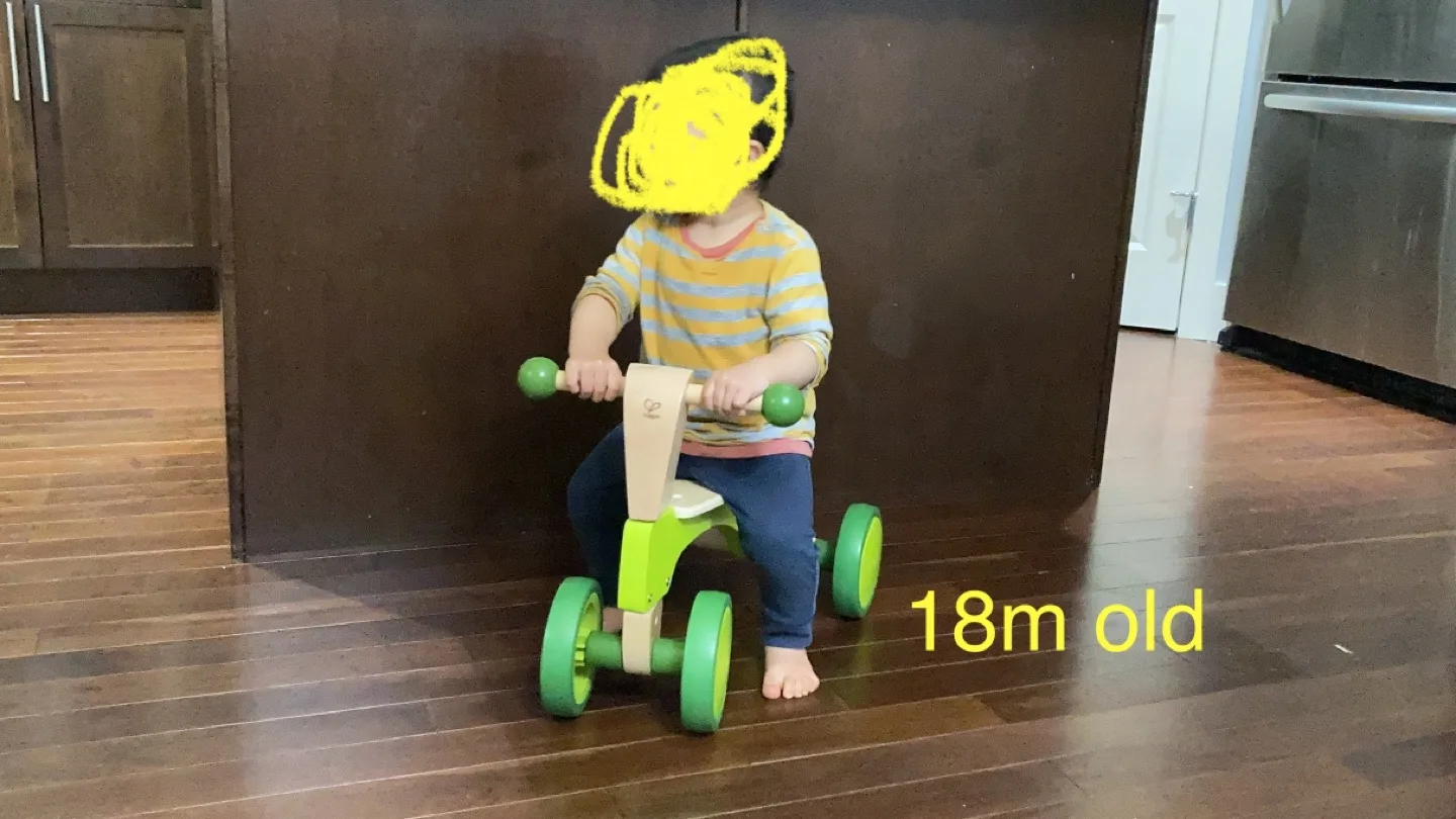 Hape wooden indoor scooter tricycle toy image indicator(2)