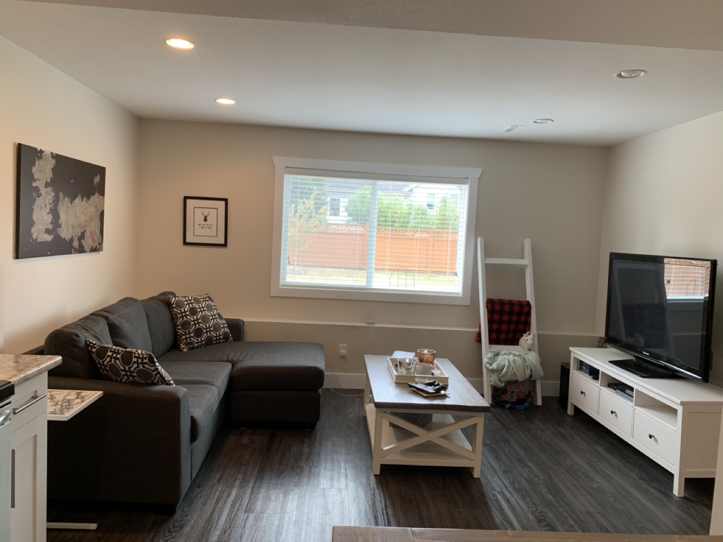 Basement Suite - photo 4