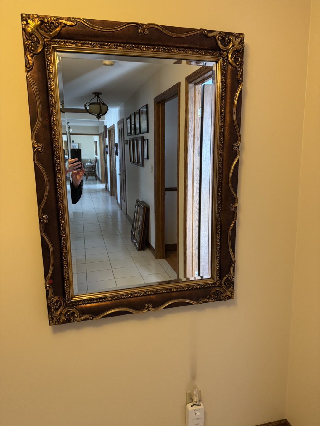 Ornate Gold and Brown Framed Mirror