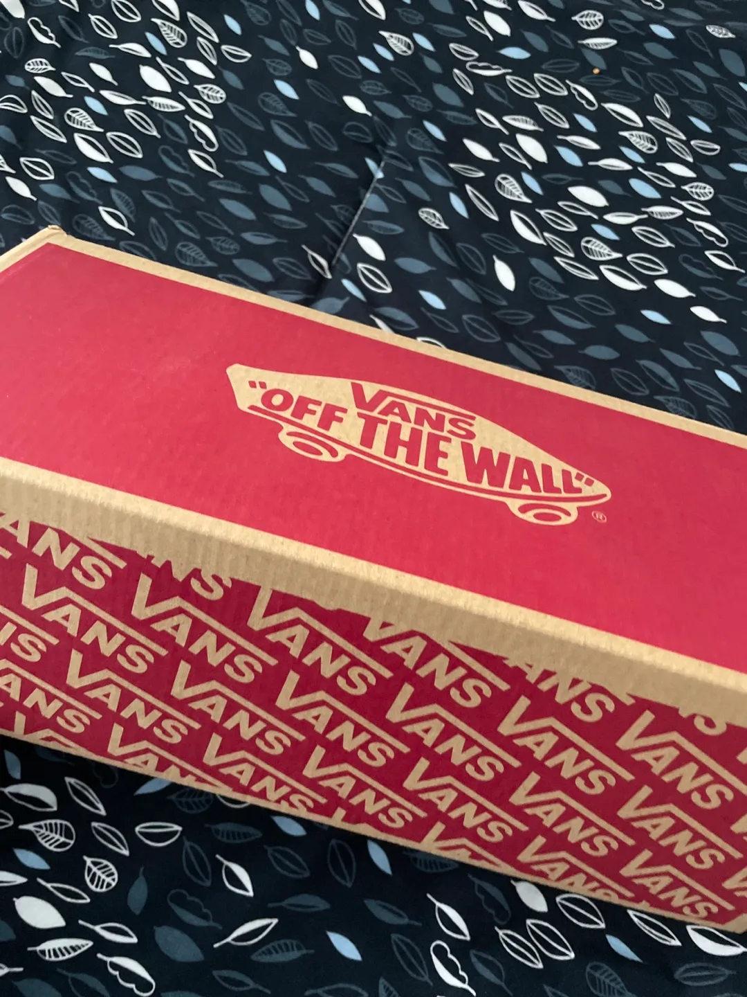 Vans Slip on, never worn image indicator(4)