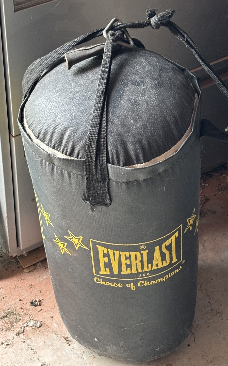 Everlast Punching Bag