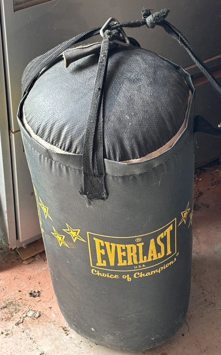 Everlast Punching Bag thumbnail