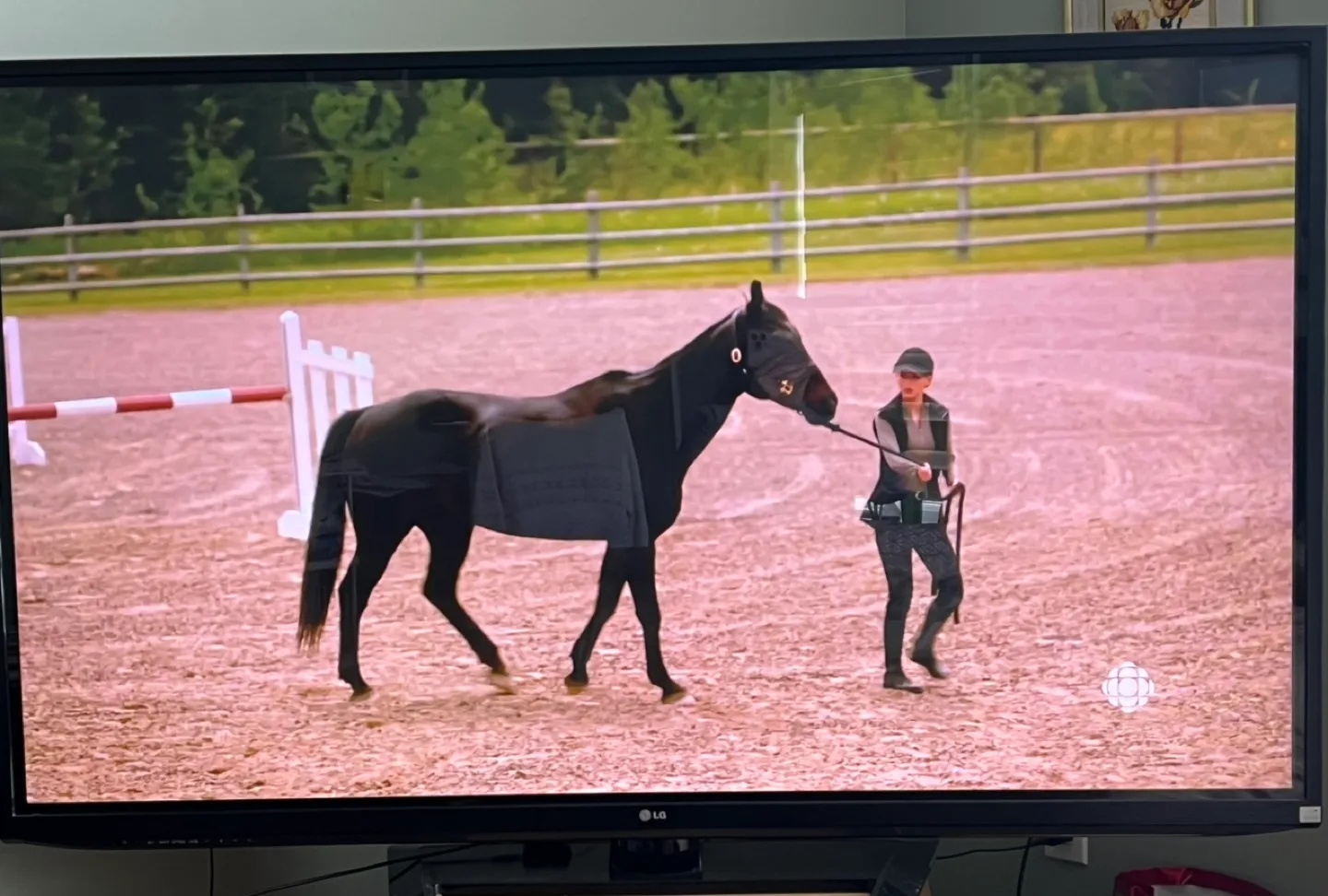 LG 60PA6500 Plasma TV - 60 inch image indicator(3)