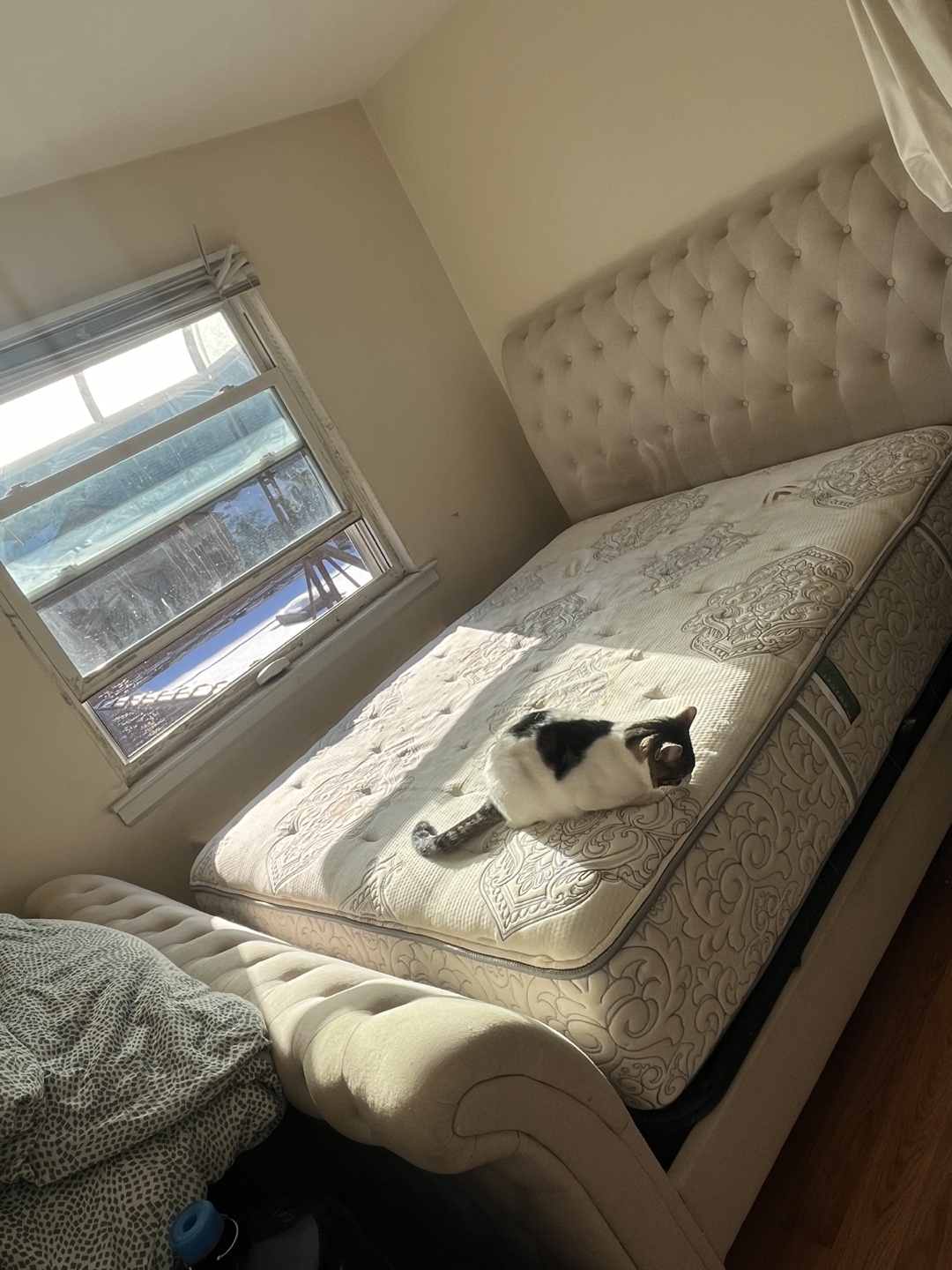 Sleigh bed frame