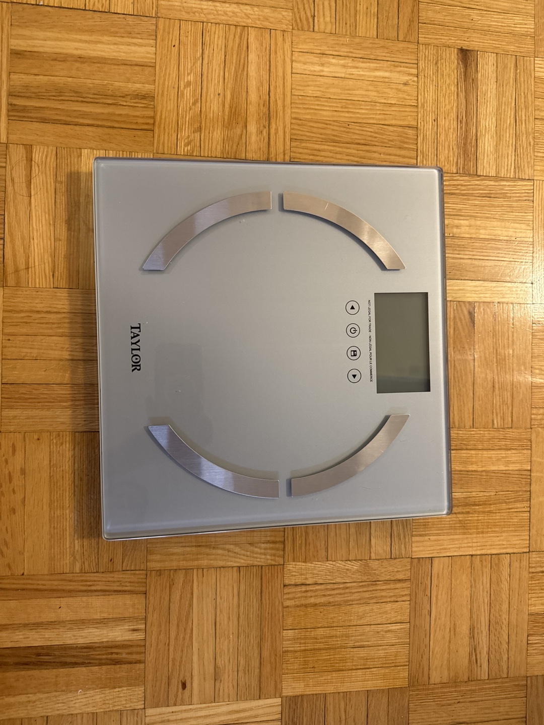 Taylor Digital weighing Scale