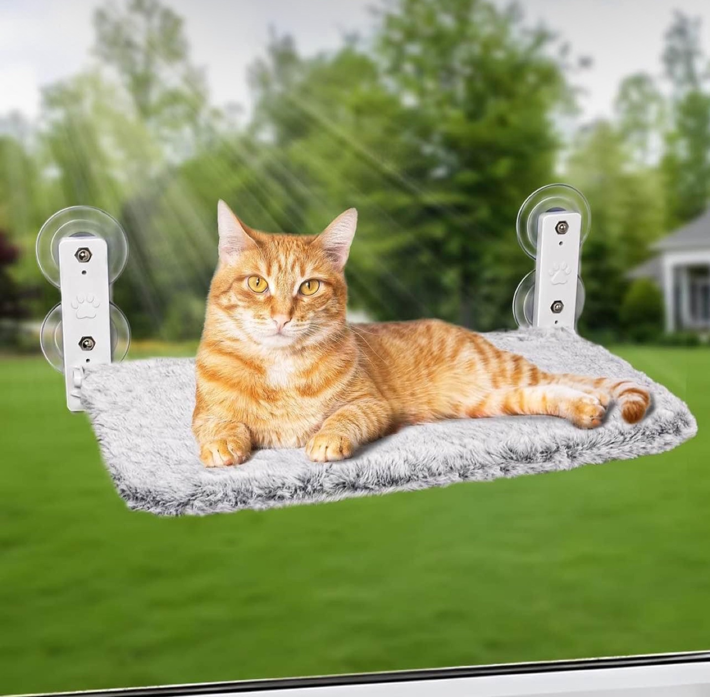 Cat Window Perch Bed - Foldable & Strong Suction Cups
