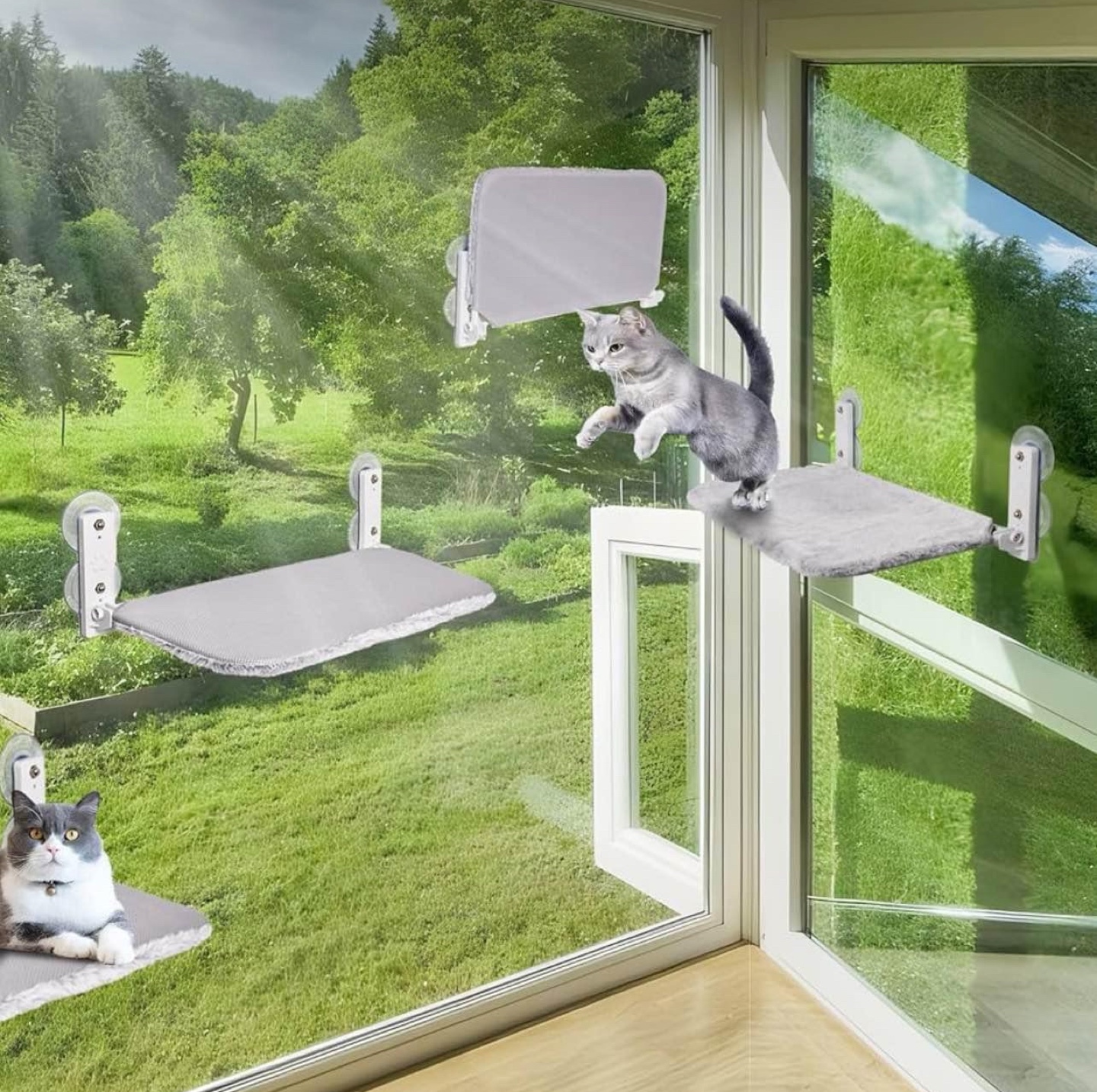 Cat Window Perch Bed - Foldable & Strong Suction Cups - photo 5