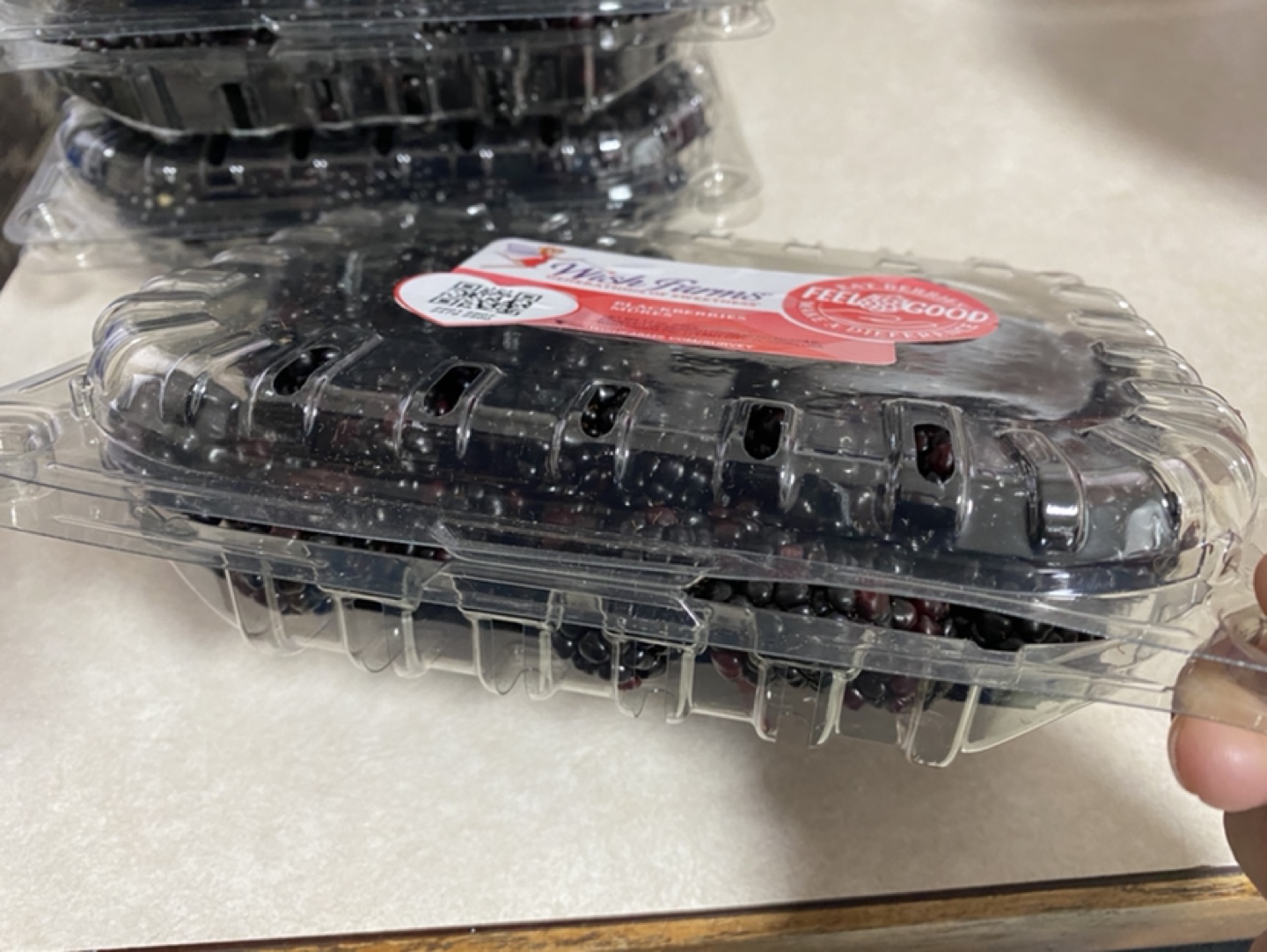 Wish Farms Blackberries - Multiple Containers
