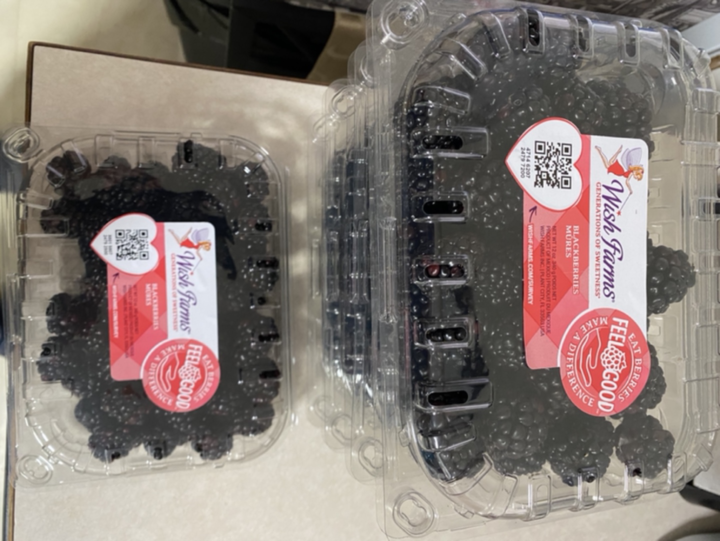 Wish Farms Blackberries - Multiple Containers - photo 2