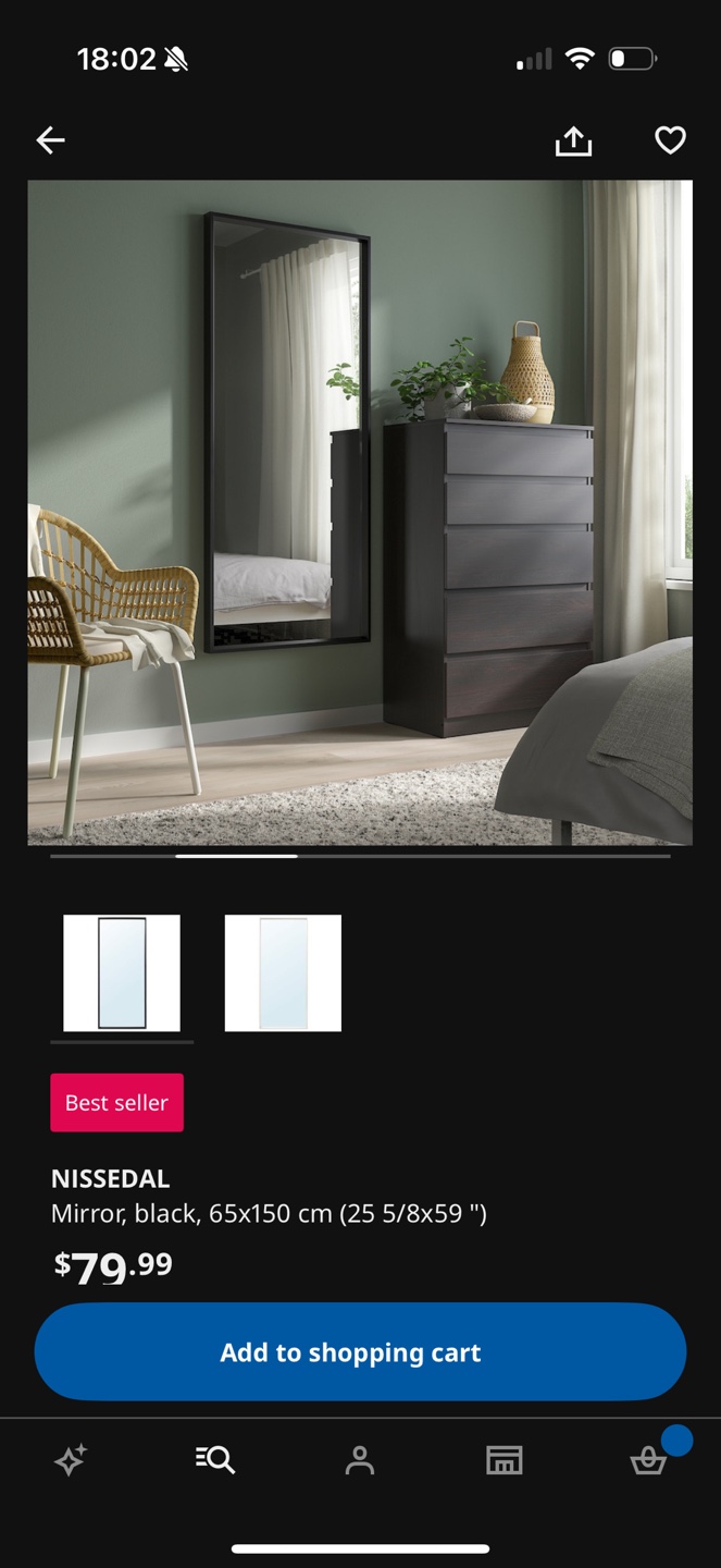 IKEA Full Length Mirror with Black Frame - photo 3