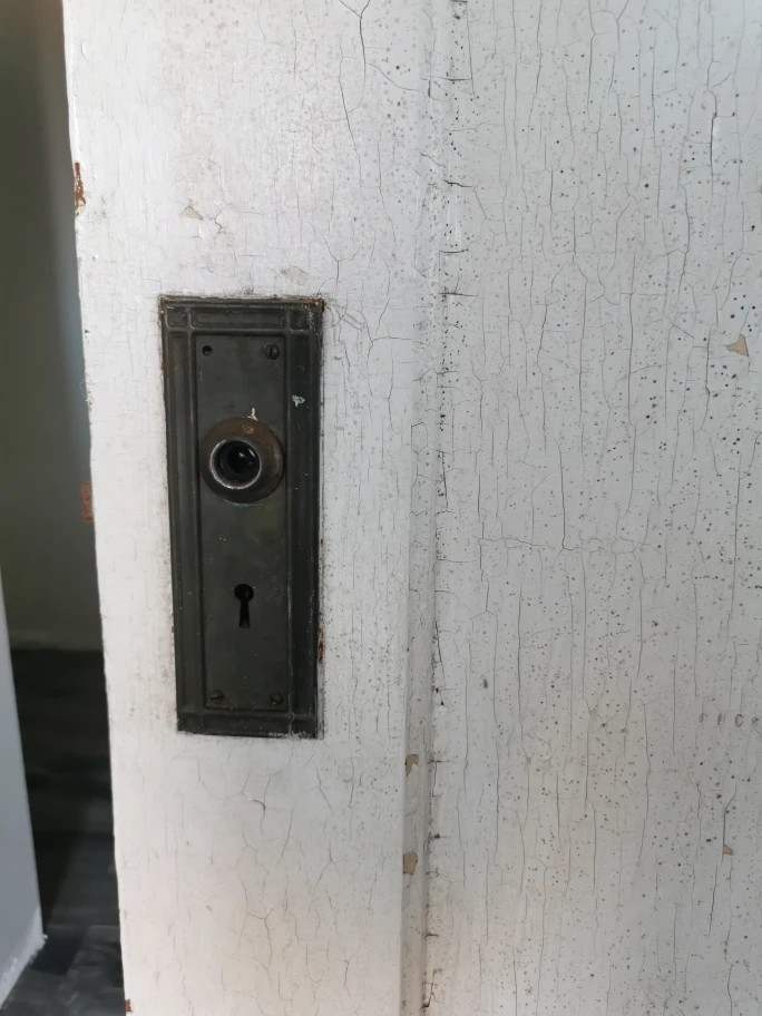 Antique White Pocket Door - photo 3