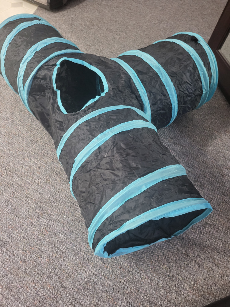 T-Shaped Cat Tunnel