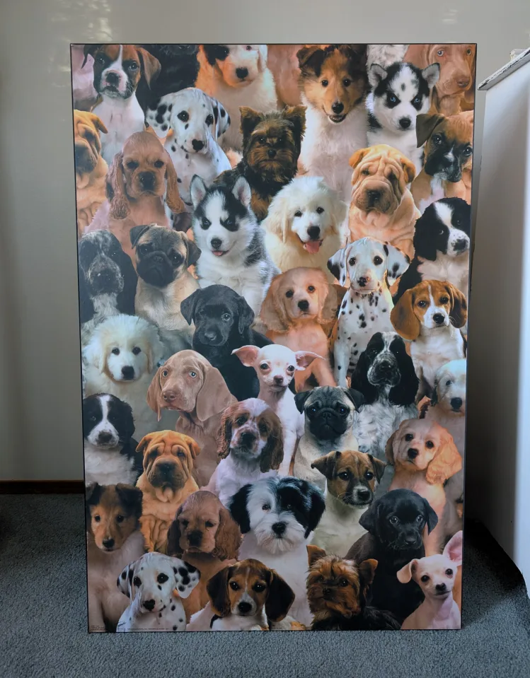 PLAK Mounted Puppy Collage Print, custom 🐶 image indicator(5)