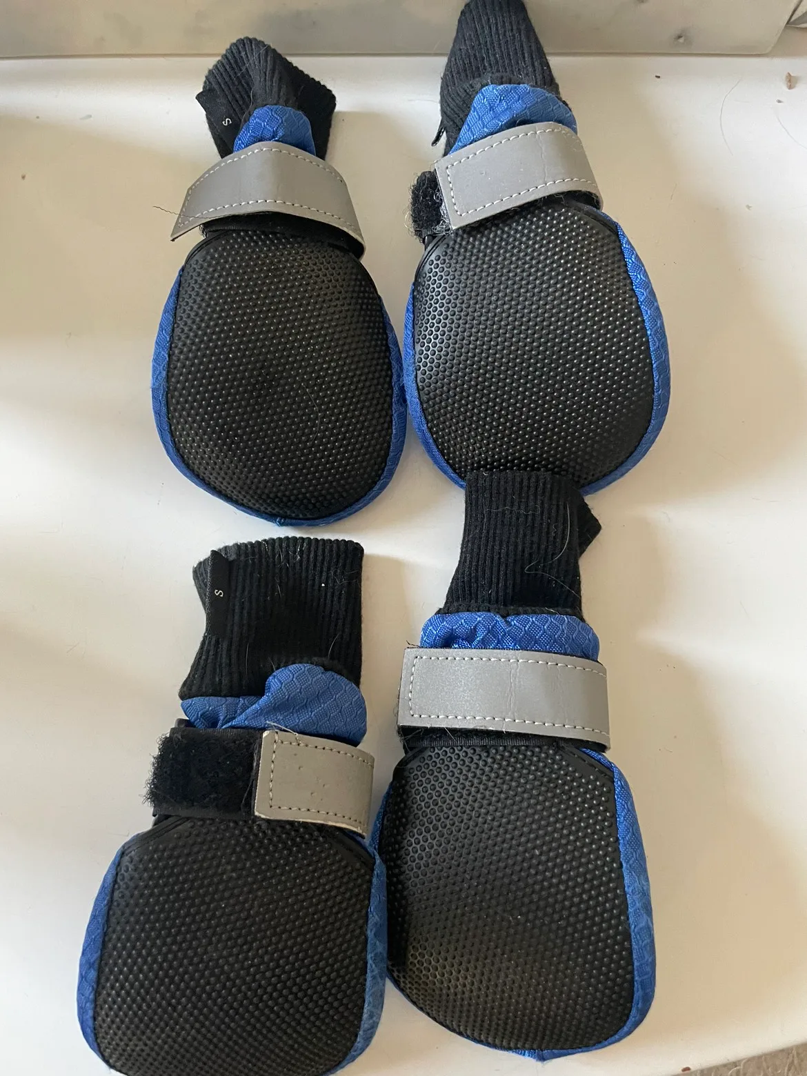 Dog booties image indicator(2)