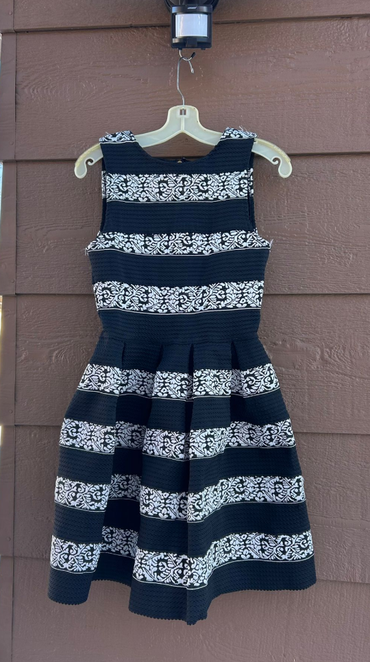 Black and White Striped Fit and Flare Dress