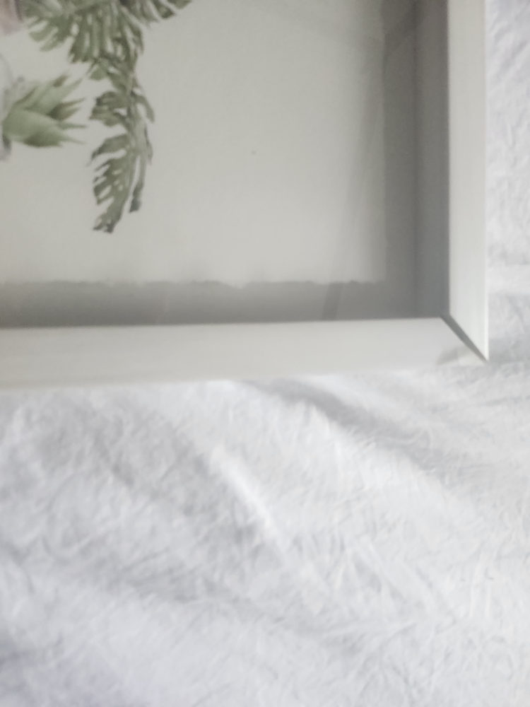 Framed Botanical Print - Greenery Wall Art - photo 2