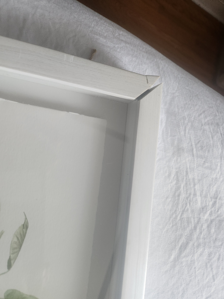 Framed Botanical Print - Greenery Wall Art - photo 3
