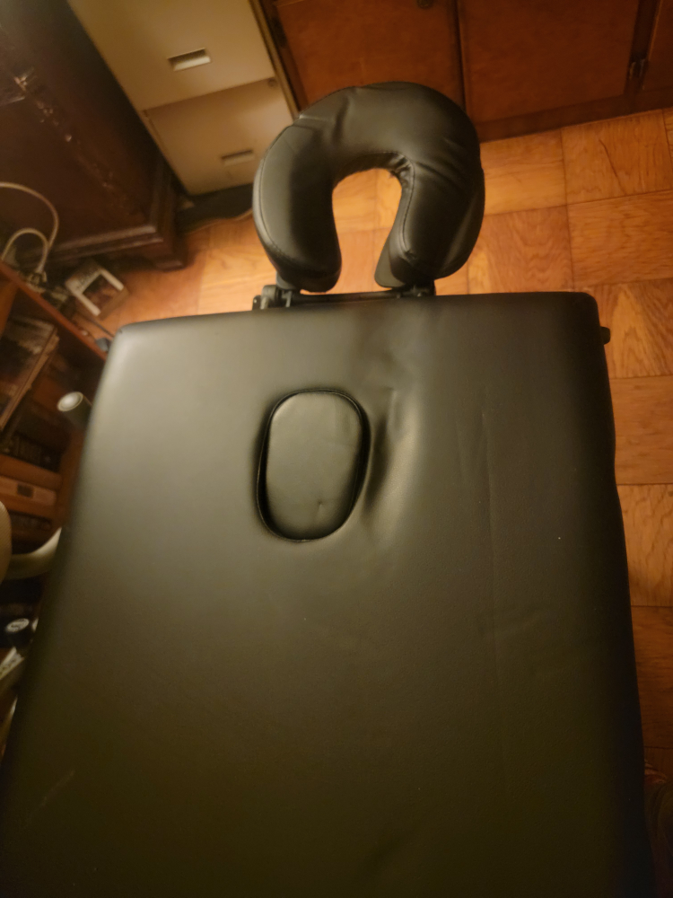Portable Massage Table #freecycle - photo 2