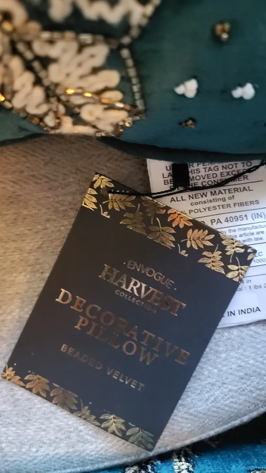 EnVogue Harvest Collection Beaded Velvet Decorative Pillow image indicator(4)