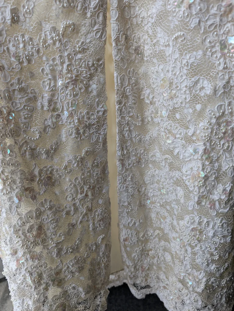Vintage Beaded Lace Wedding Dress image indicator(9)