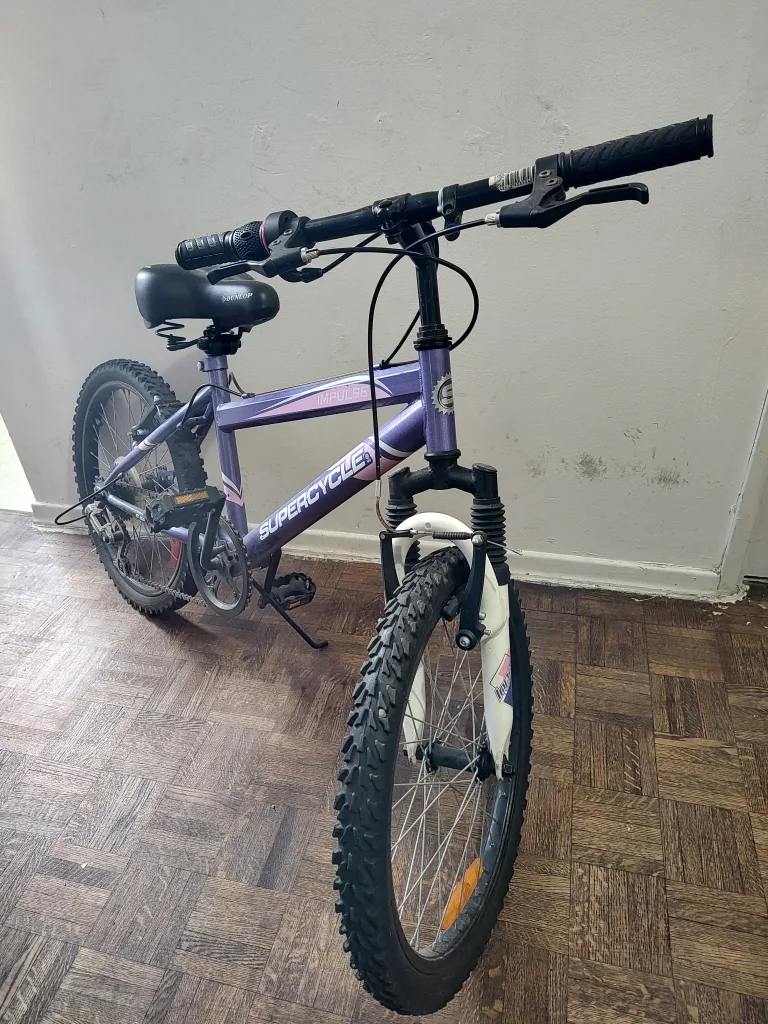 Bicycle image indicator(2)