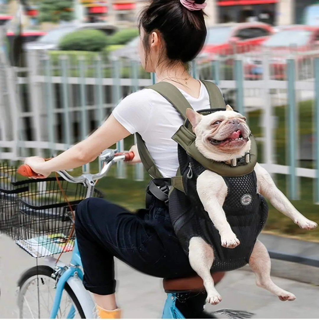 DogLemi Pet Carrier Backpack - Olive Green image indicator(6)