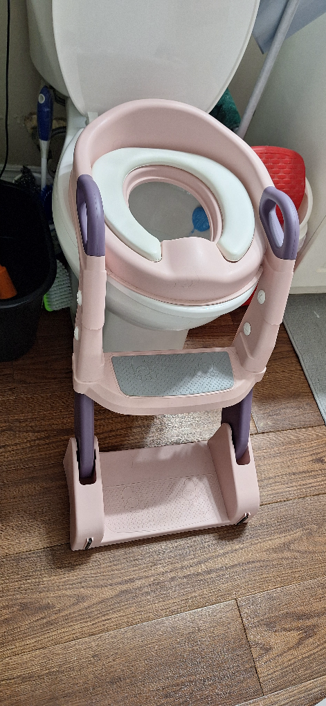 Potty Training Seat with Steps