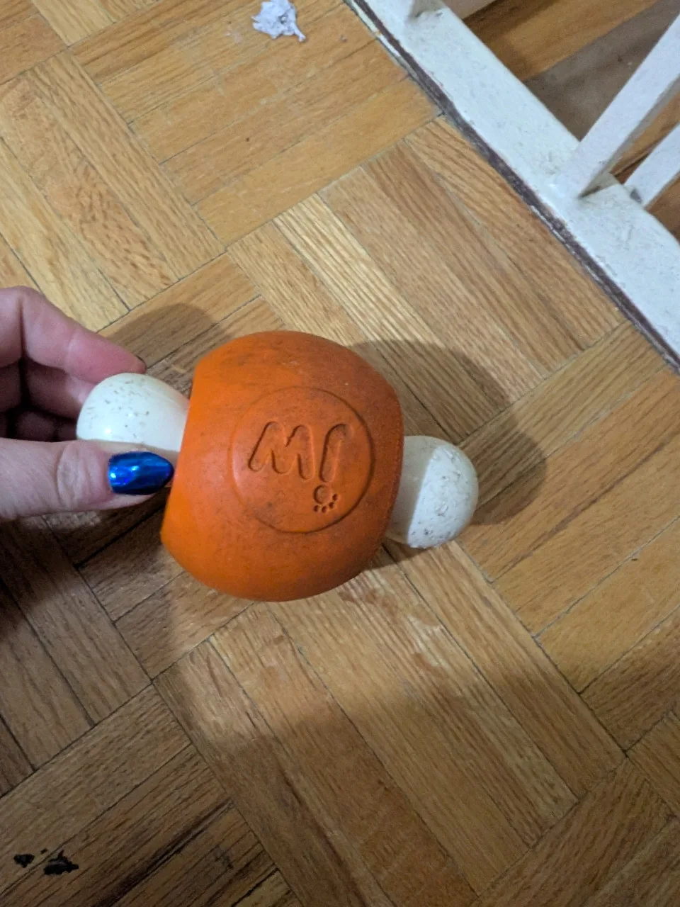 Well loved Hard core chewer toys for strong chewers image indicator(2)