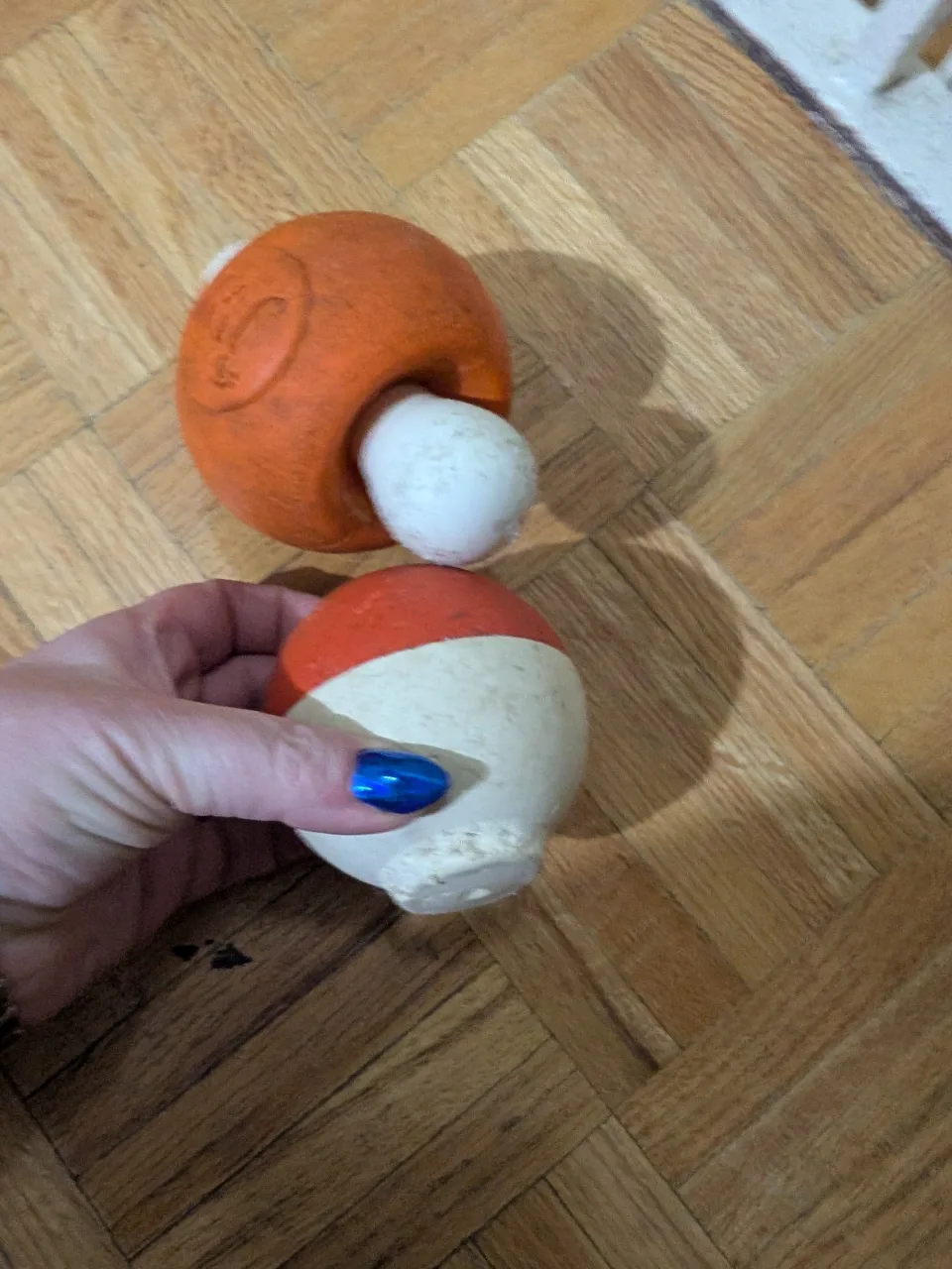 Well loved Hard core chewer toys for strong chewers image indicator(3)